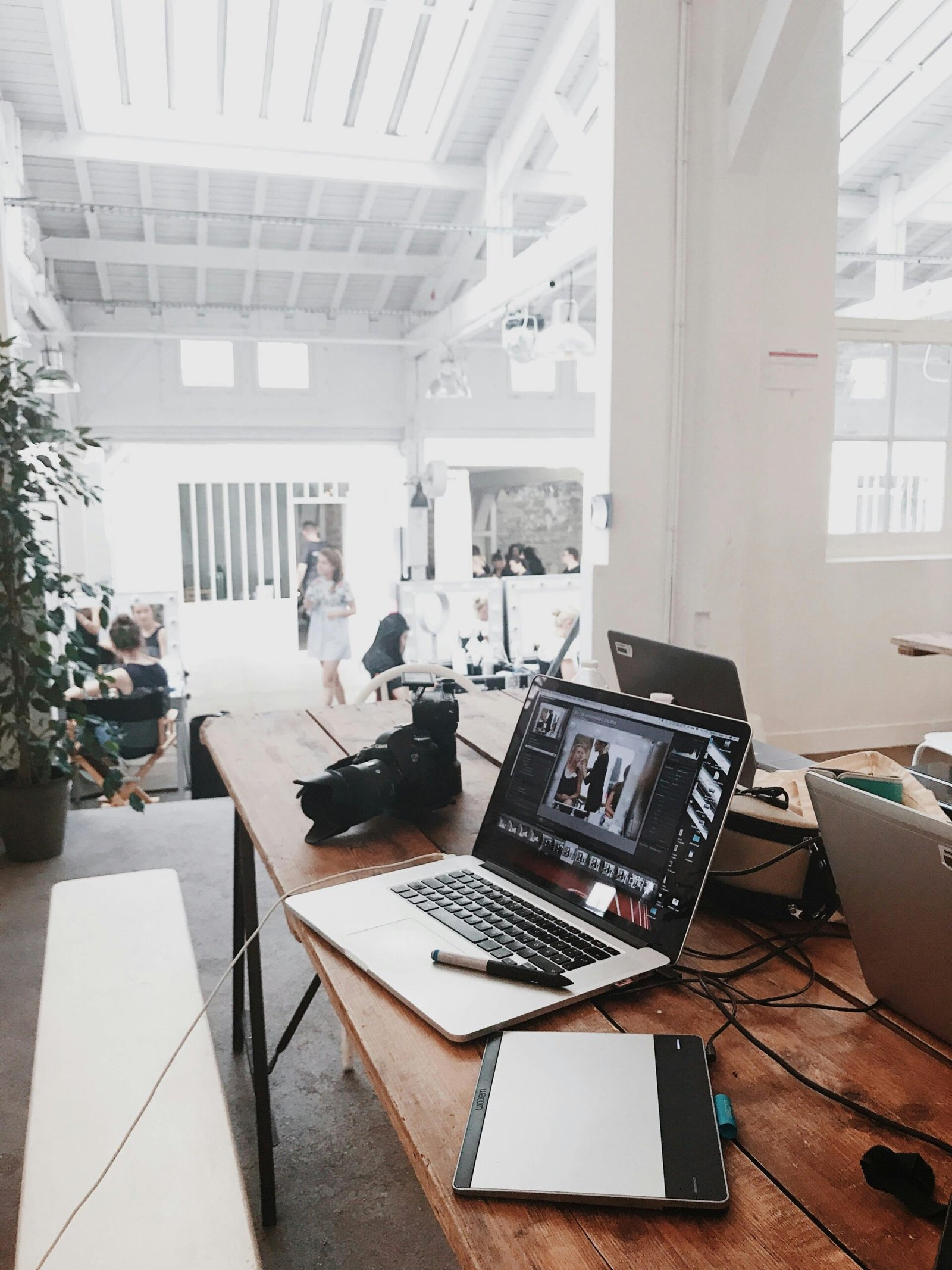 Our Services for New and Growing Businesses